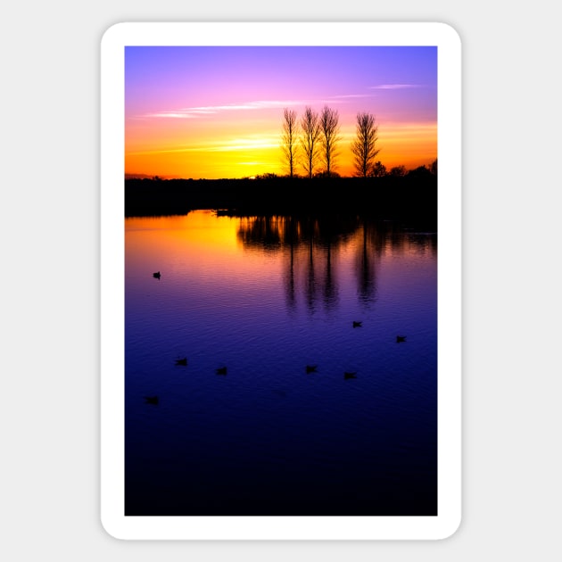 Abberton Twilight Sticker by newbeltane